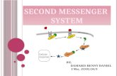 Second messenger system