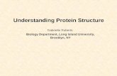 A QUICK GLANCE AT PROTEIN STRUCTURE