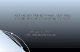 Aetiology,pathophysiology and diagnosis of dengue infection