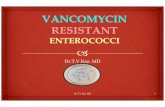 Vancomycin resistant enterococci