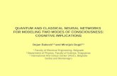 Quantum and classical neural networks
