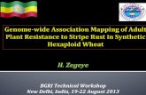 Genome-wide Association Mapping of Adult Plant Resistance to Stripe Rust in Synthetic Hexaploid Wheat