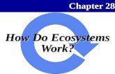 How Ecosystems Work APBio