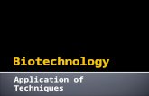 Biotechnology   applications