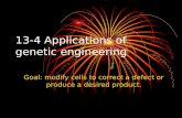 13 4 applications of genetic engineering