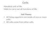 Dna and cell cycle
