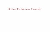 Critical Periods and Plasticity
