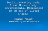 Polasky decision making under great uncertainty