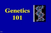 Genetics 101 April 23, 1953