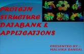 PROTEIN STRUCTURE DATABANK