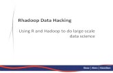 Data Hacking with RHadoop