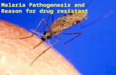 Malaria pathogenesis and reason for drug resistantance