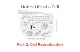 Cell reproduction part 2