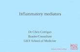 Inflammatory Mediators    Corrigan