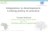 Youba Sokona: Adaptation is development:Linking policy to practice