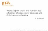 Improving the water and nutrient use efficiency of crops in dry savanna and Sahel regions of Africa