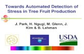Towards Automated Detection of Stress in Tree Fruit Production