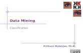 Data mining classification-2009-v0