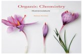 Organic chemistry nomenclature