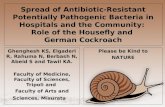 Spread of antibiotic resistant bacteria-Libya