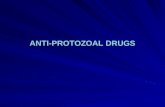 Antiprotozoal drugs pharmacology zirgham