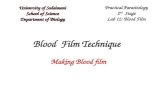 Lab 12 blood film