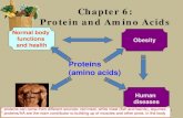 Chapter 6  protein and amino acids