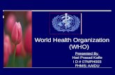 World health organization