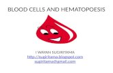 Blood cells and hematopoesis