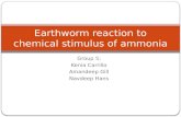 Earthworm reaction to chemical stimulus of ammonia