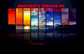 Security issues in cloud