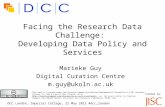Facing the data challenge: Developing data policy & services