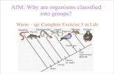 1.14 Why are organisms classified into groups ?