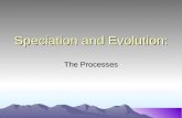 Speciation and-evolution-1204077108861903-5