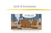 Unit 8 evolution for moodle