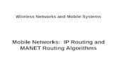 IP routing and manet routing algorithms