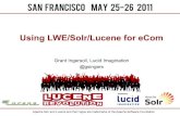 Using LWE/Solr/Lucene for eCom