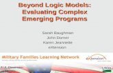 Beyond Logic Models: Evaluating Complex  Programs