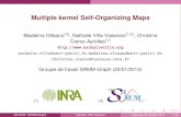 Multiple kernel Self-Organizing Maps