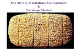 Database Management & Models