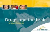 Drugs And The Brain (2)