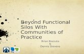 Beyond functional silos with communities of practice