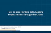 How to Stop Herding Cats - Washington DC