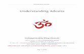 Understanding advaita