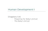 Human Development I-Chapters 5-6