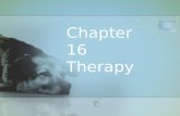 Chp.16 therapy