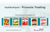 Privasia Trading Haryana India