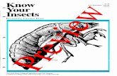 Know Your Insects - Curriculum Preview