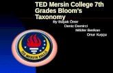 Ted Mersin College 7th Grades Slide