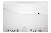 Smlxl - Assets & Access: challenges and opportunities for cultural institutions in a non-linear world